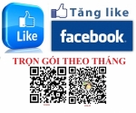 Tăng Like Post trọn gói theo tháng